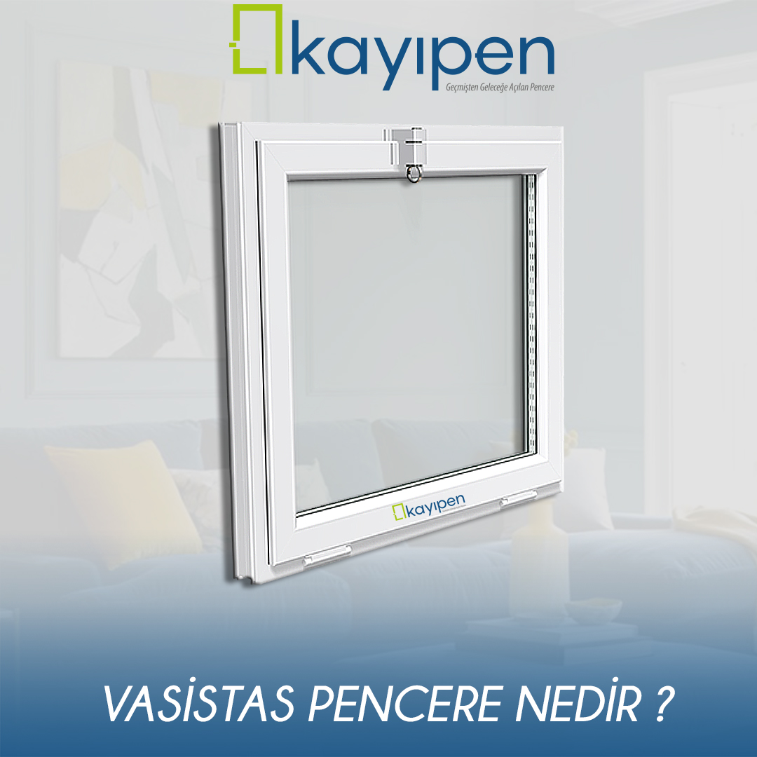 VASİSTAS NEDİR?